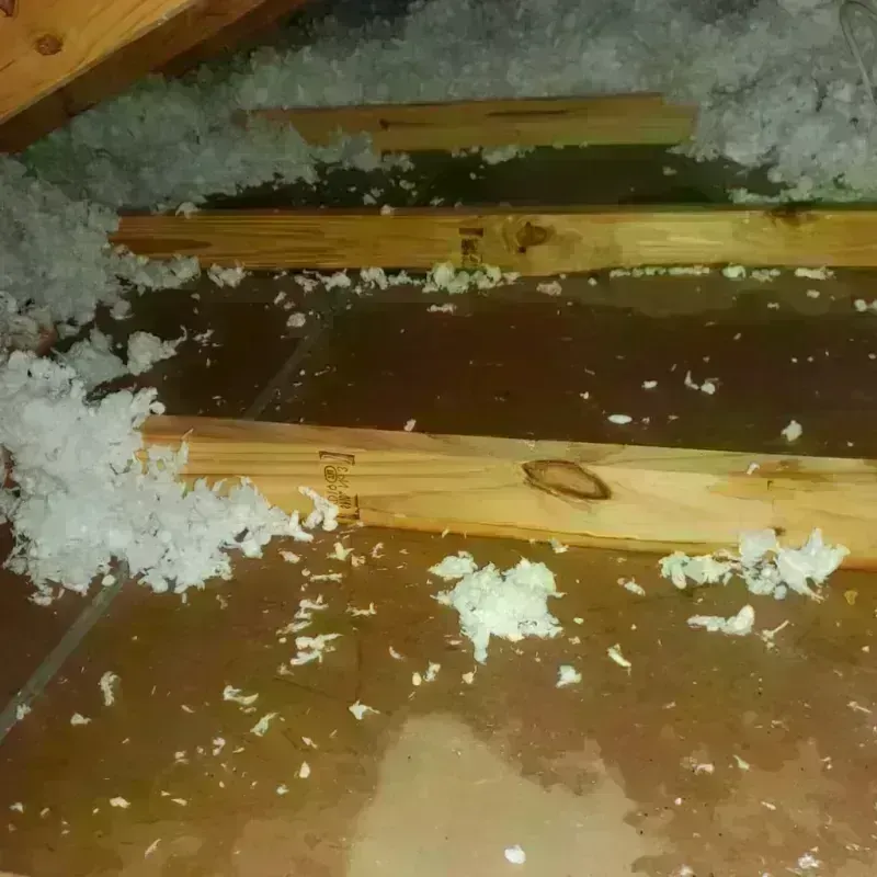 Attic Water Damage in West Lynchburg, VA