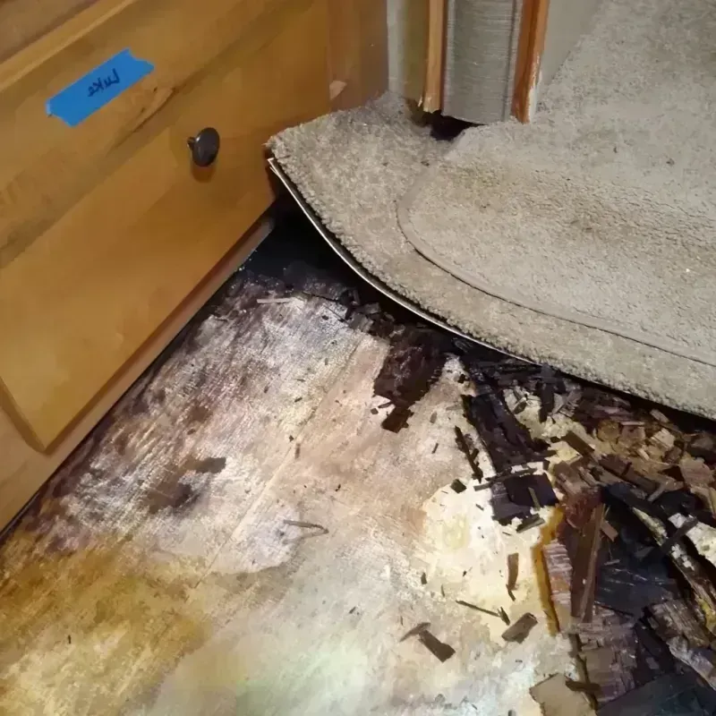 Best Wood Floor Water Damage Service in West Lynchburg, VA